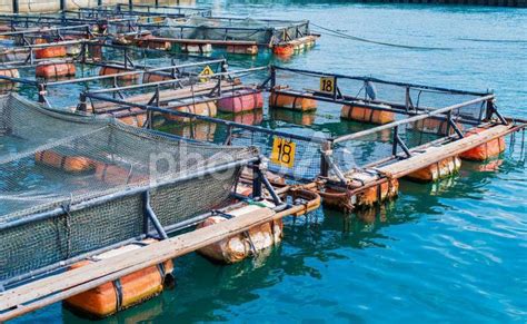 新水魚場|全台灣北中南超過100家海釣場推薦彙整、龍膽石斑、綜合池－點。